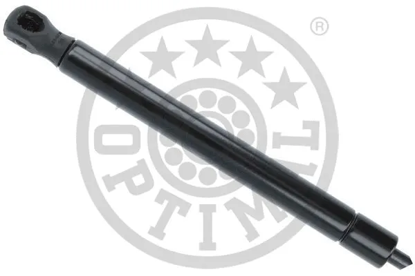 Gas Spring, boot/cargo area