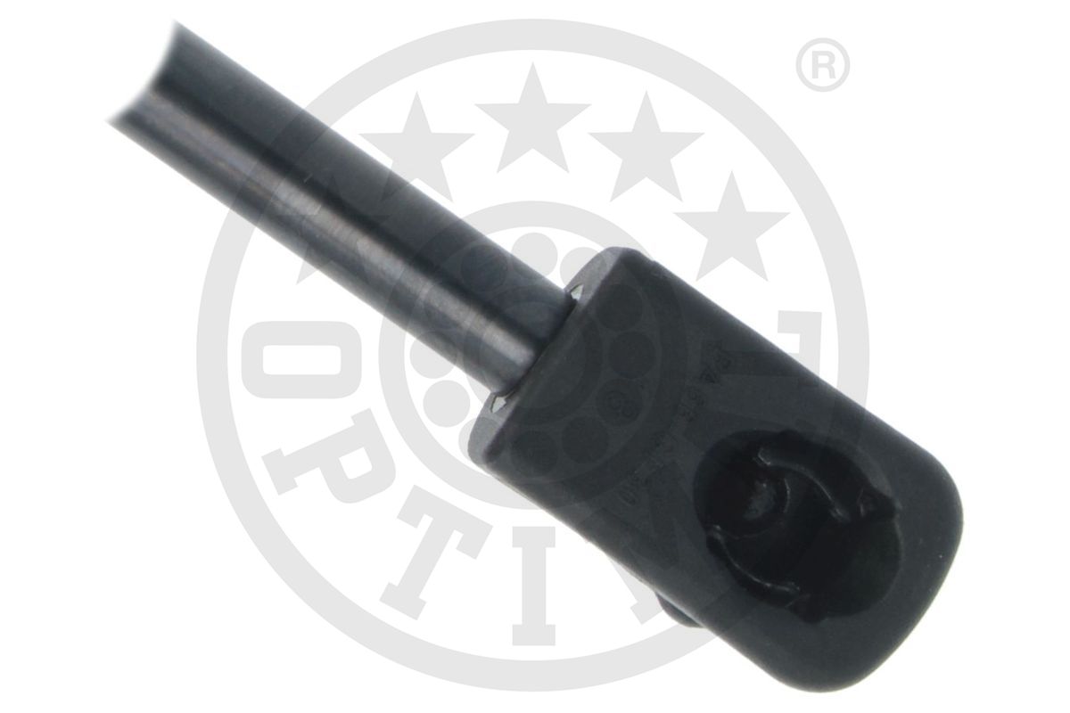 Gas Spring, boot/cargo area