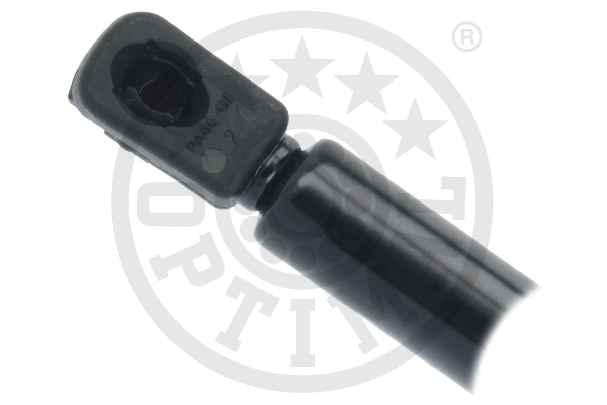 Gas Spring, boot/cargo area