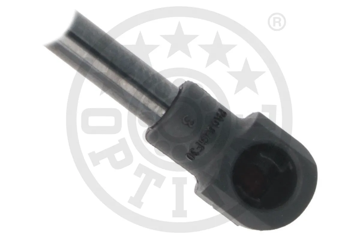 Gas Spring, boot/cargo area