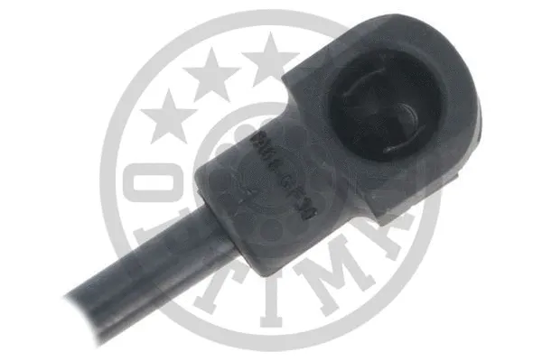 Gas Spring, boot/cargo area