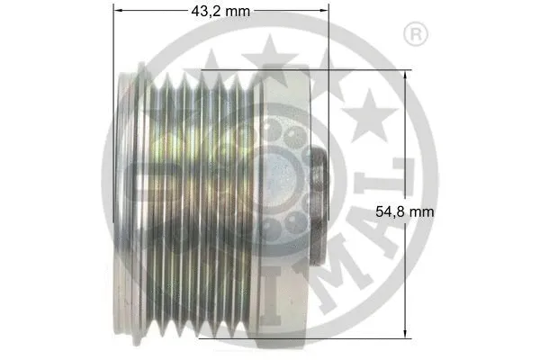 Alternator Freewheel Clutch