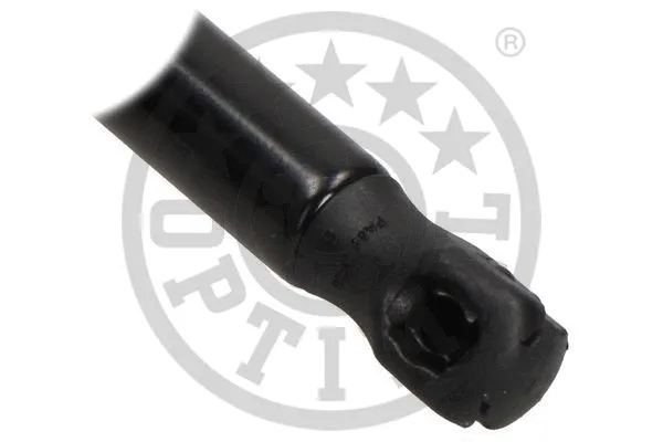 Gas Spring, boot/cargo area