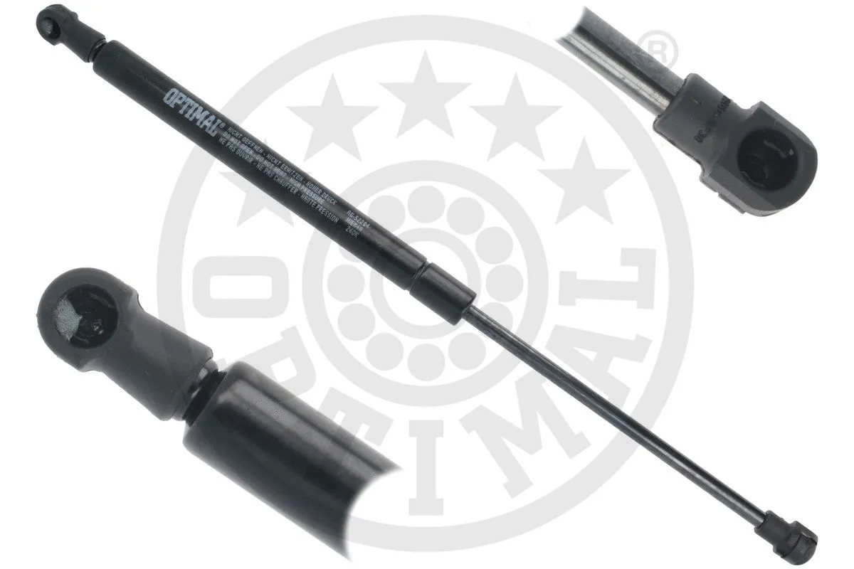 Gas Spring, bonnet (AG-52284)