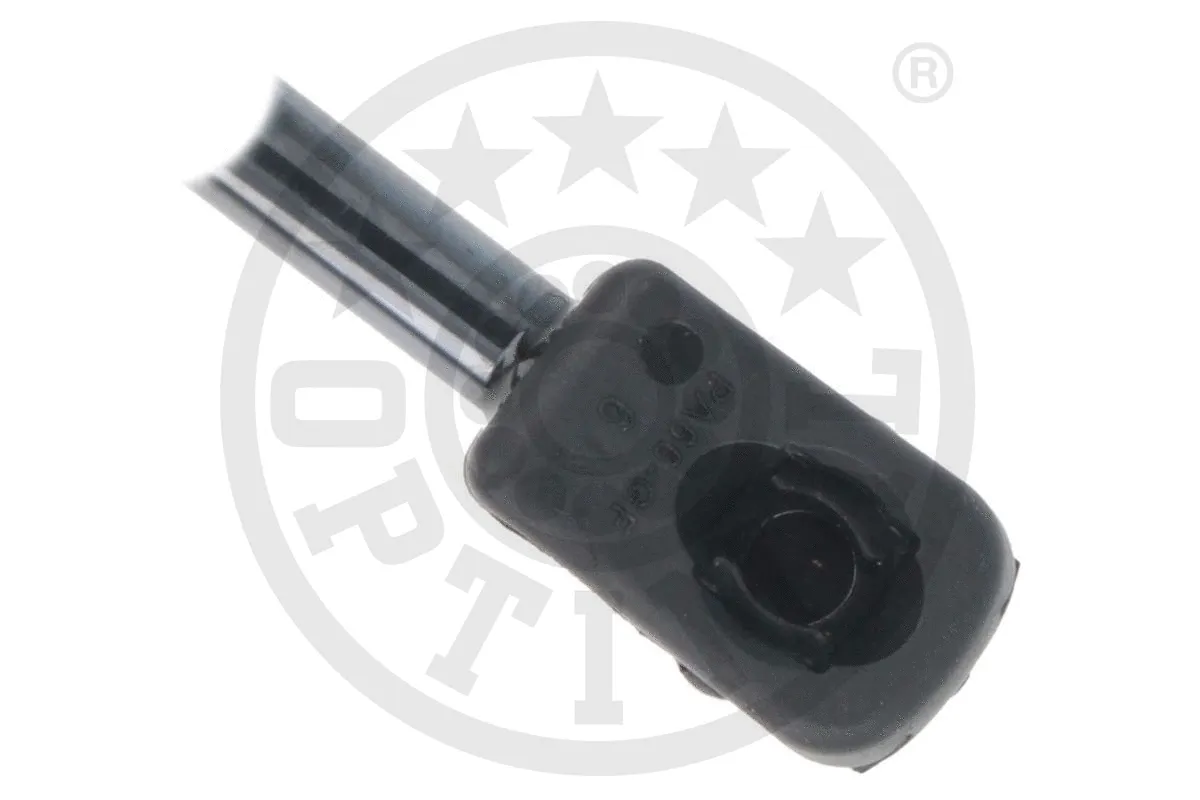 Gas Spring, boot/cargo area