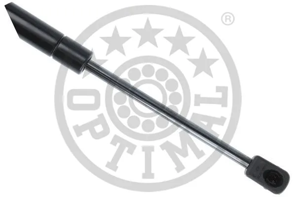 Gas Spring, boot/cargo area