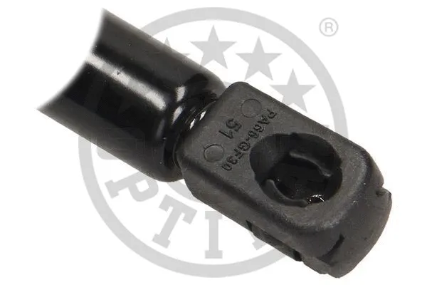 Gas Spring, boot/cargo area