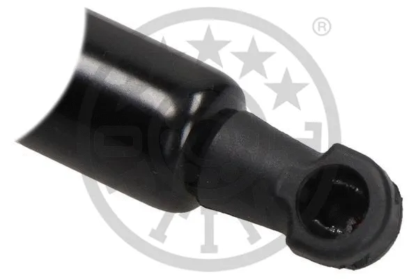 Gas Spring, boot/cargo area