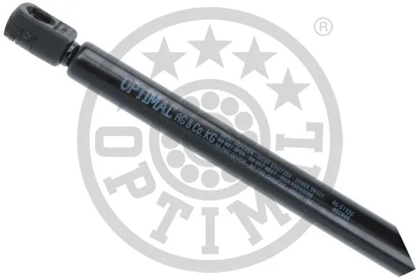 Gas Spring, boot/cargo area