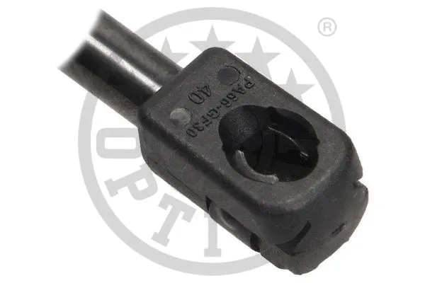 Gas Spring, boot/cargo area