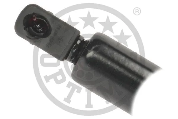 Gas Spring, boot/cargo area