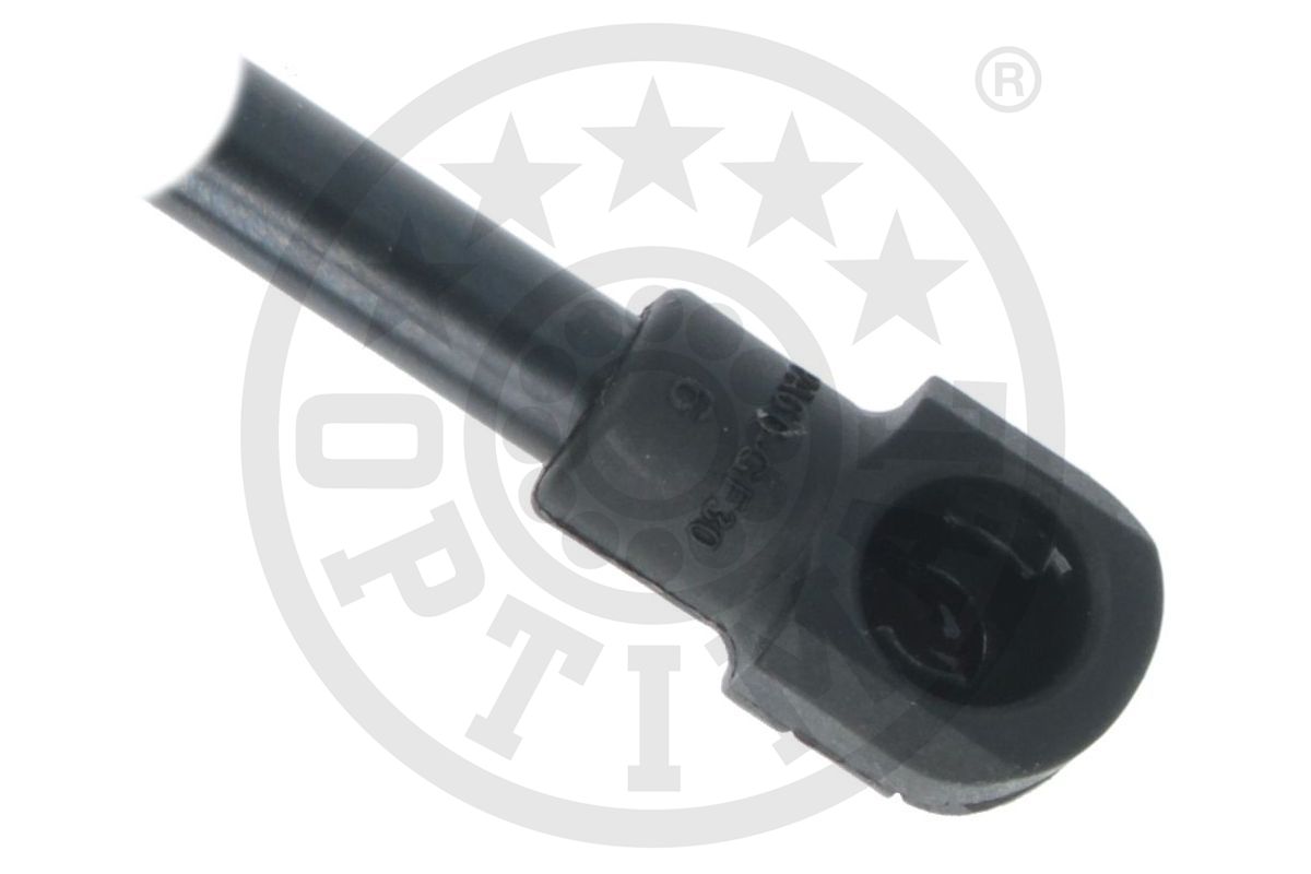 Gas Spring, boot/cargo area