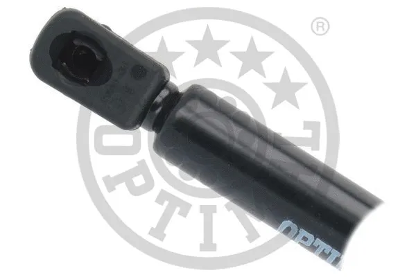 Gas Spring, boot/cargo area