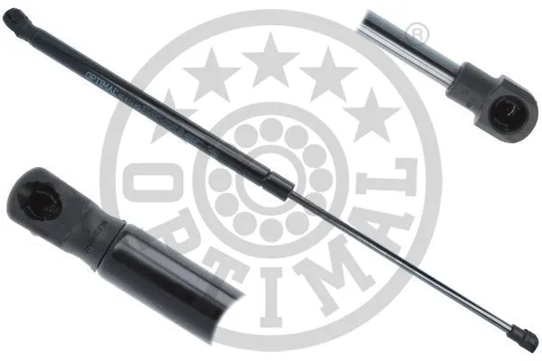 Gas Spring, boot/cargo area (AG-52171)