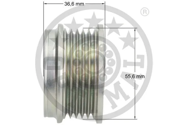 Alternator Freewheel Clutch