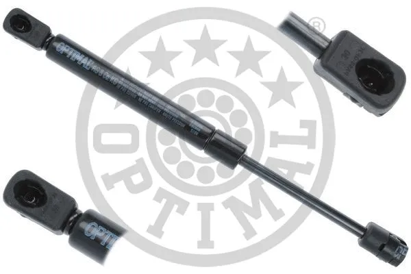 Gas Spring, boot/cargo area (AG-50986)