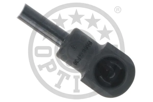 Gas Spring, boot/cargo area