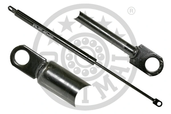 Gas Spring, bonnet (AG-39079)