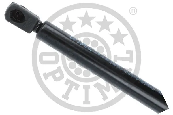 Gas Spring, boot/cargo area