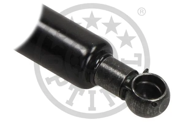 Gas Spring, boot/cargo area