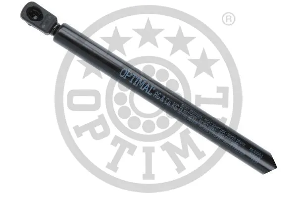 Gas Spring, boot/cargo area