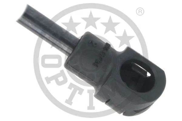 Gas Spring, boot/cargo area