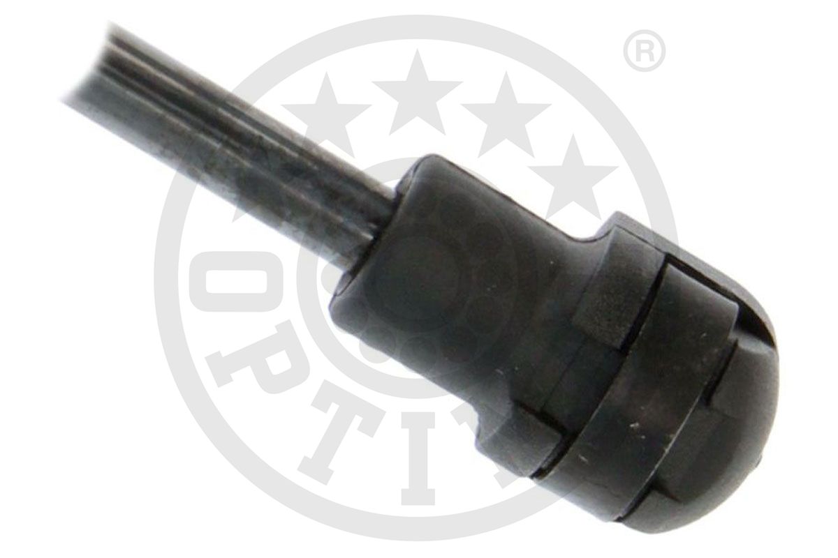 Gas Spring, boot/cargo area