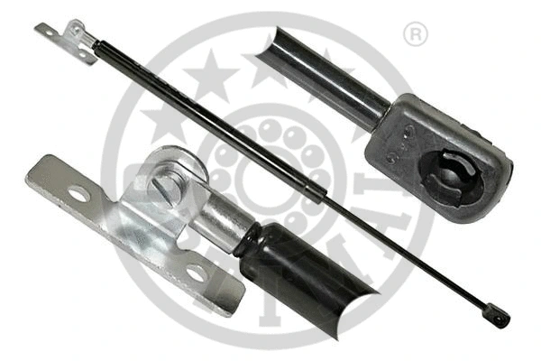 Gas Spring, bonnet (AG-39008)