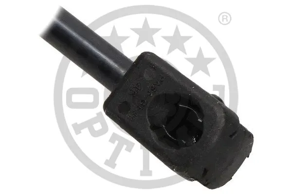 Gas Spring, boot/cargo area