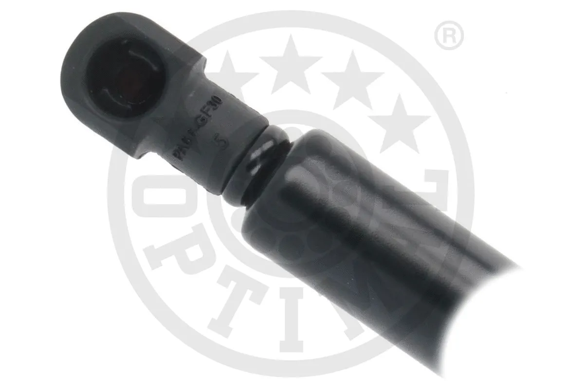 Gas Spring, boot/cargo area