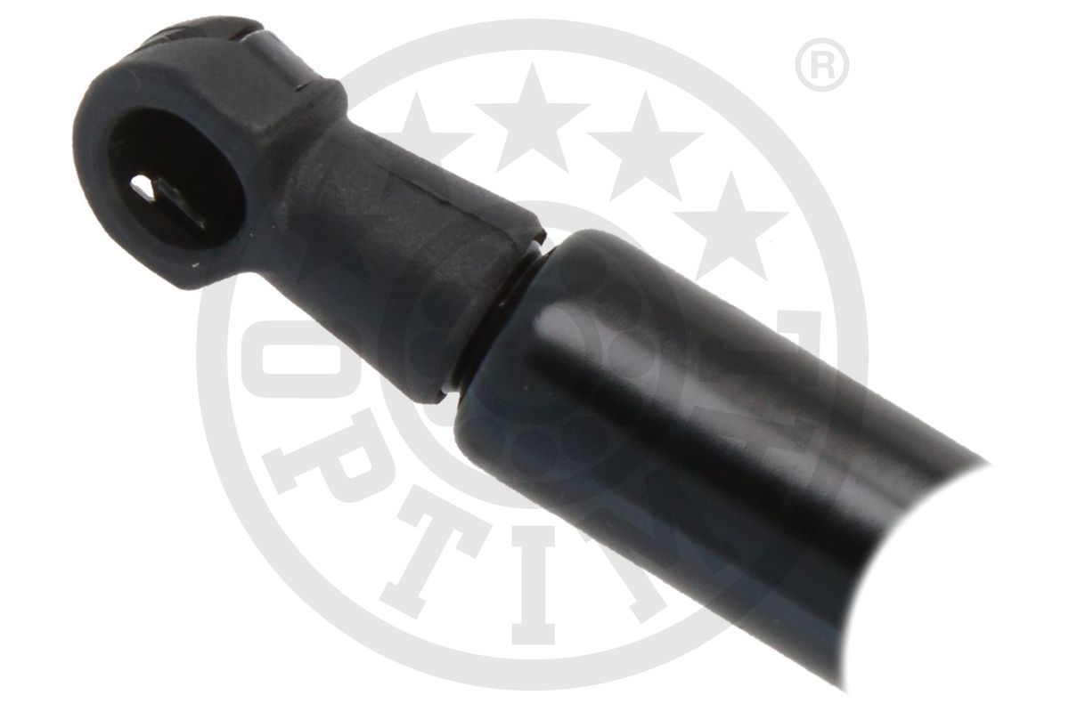 Gas Spring, boot/cargo area