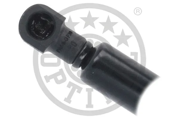 Gas Spring, boot/cargo area