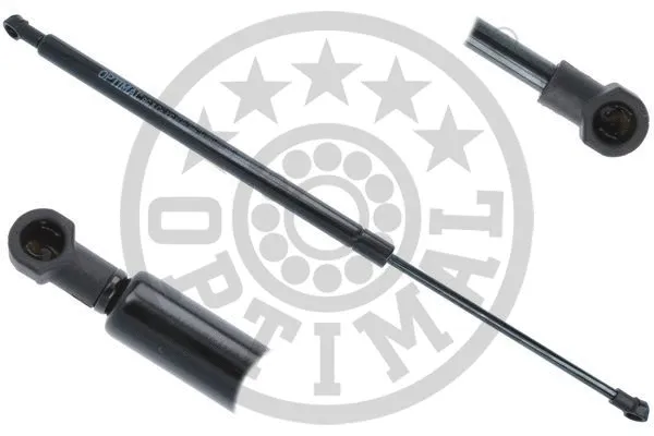 Gas Spring, boot/cargo area (AG-52302)