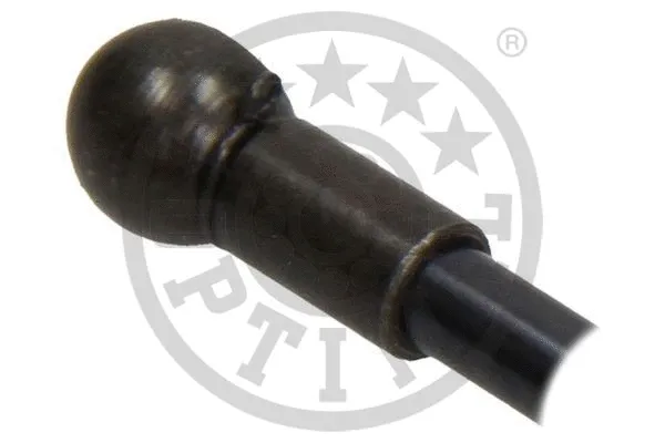 Gas Spring, boot/cargo area