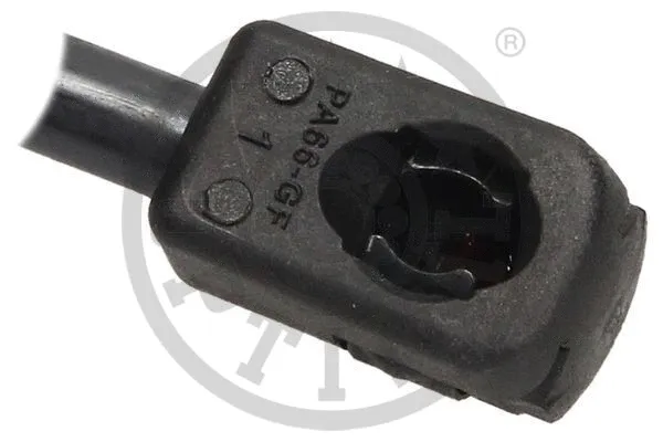 Gas Spring, boot/cargo area