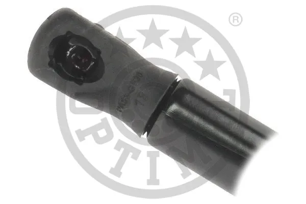 Gas Spring, bonnet