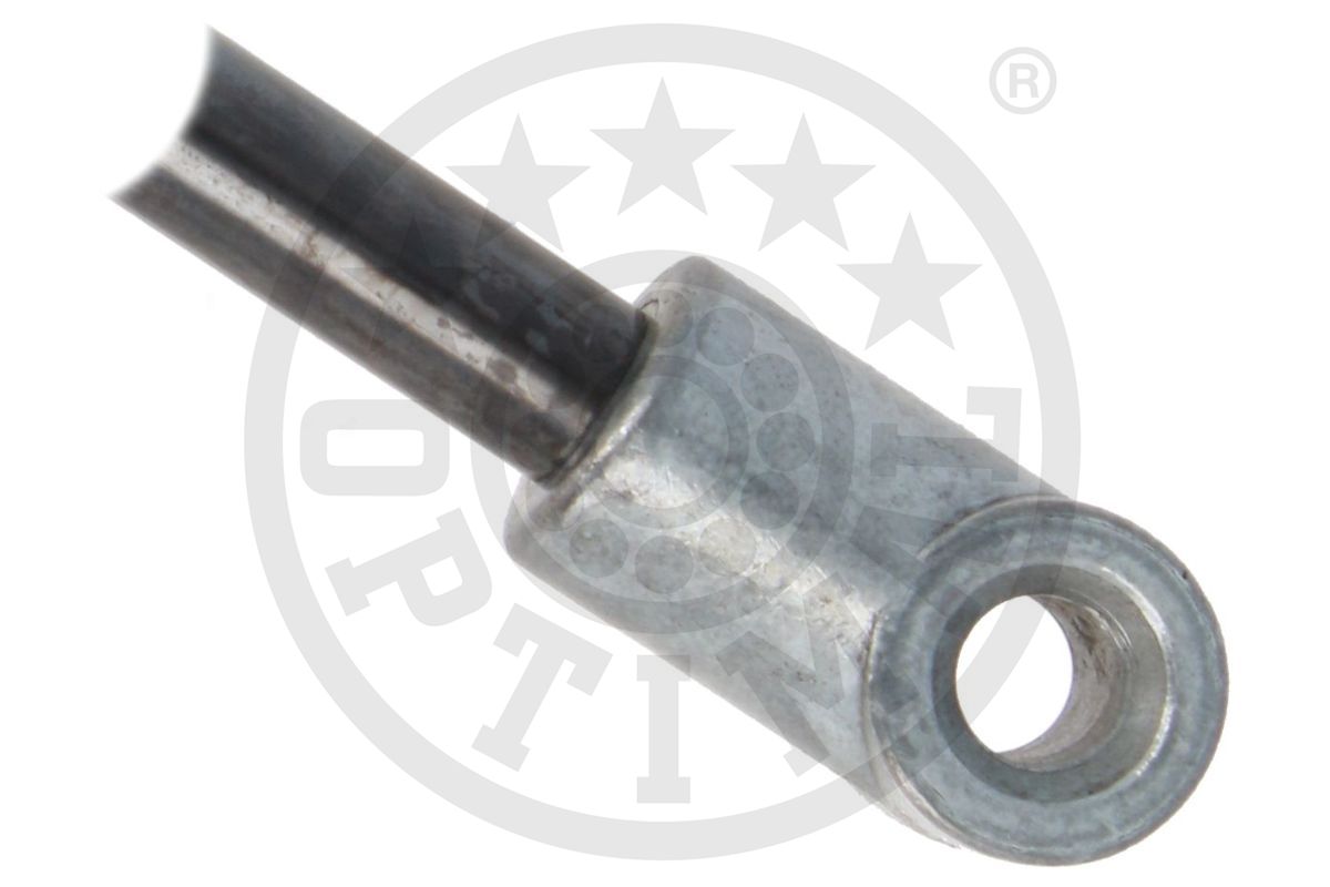 Gas Spring, boot/cargo area