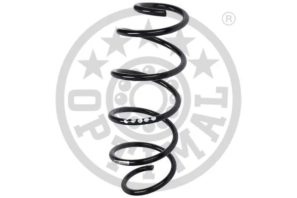 Suspension Spring