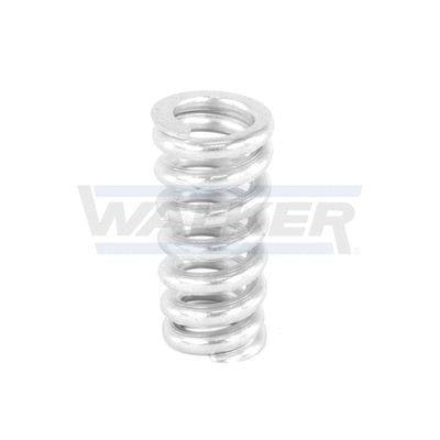 Spring, muffler