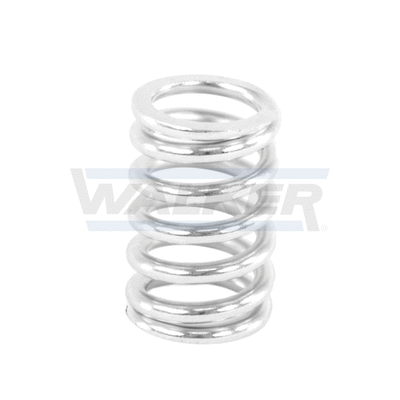 Spring, muffler