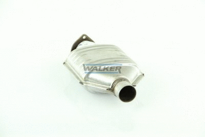 Catalytic Converter (20560)