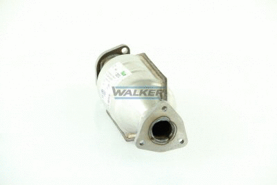 Catalytic Converter (20273)