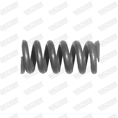 Spring, muffler