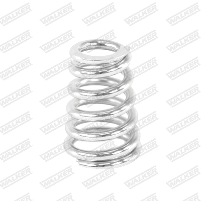 Spring, muffler
