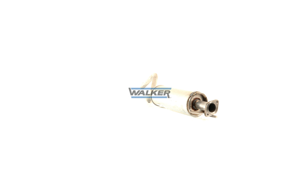Centre Muffler