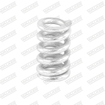 Spring, muffler