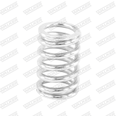Spring, muffler