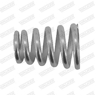 Spring, muffler