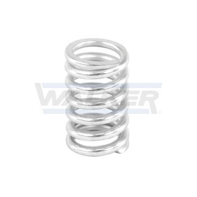 Spring, muffler