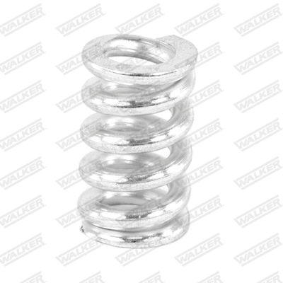 Spring, muffler